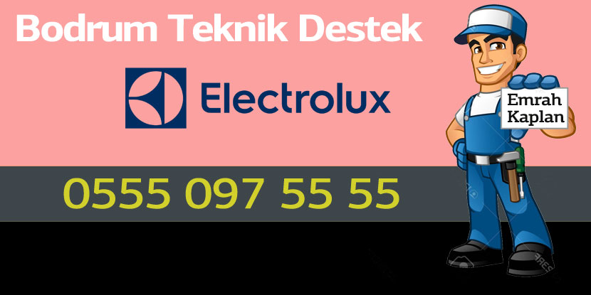 Bodrum Electolux Servisi