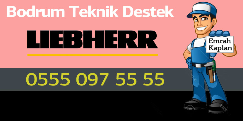 Bodrum Liebherr Servisi